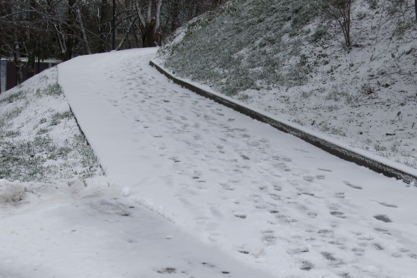 За ночь с улиц Рязани вывезли 6000 кубометров снега