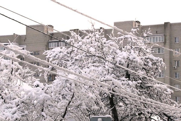 Энергетики устранили все повреждения на ЛЭП в Клепиковском округе
