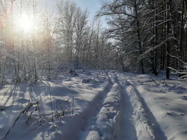 МЧС вновь предупреждает о проблемах с погодой