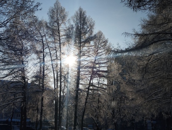 В Рязанской области слегка потеплеет