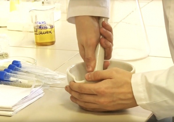 Павел Малков назвал имена талантливых рязанских ученых