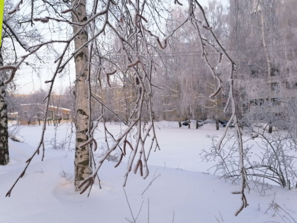 Завтра в регионе ожидается небольшой снег
