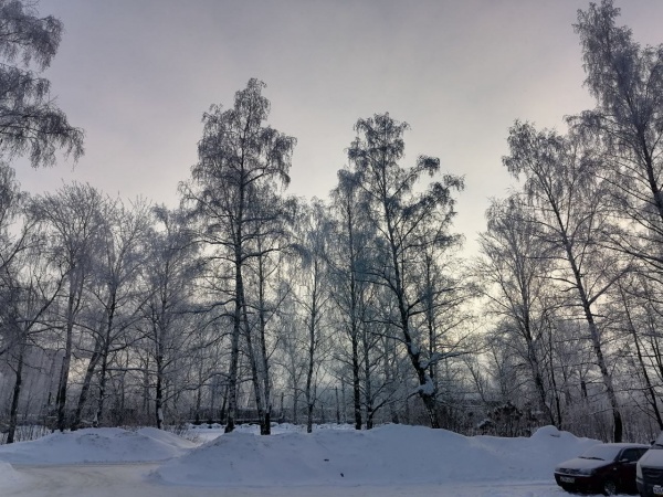 Завтра в Рязанской области ожидается -7°С