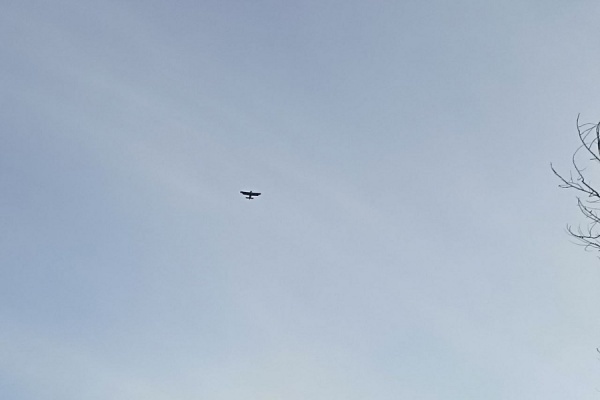 Над Рязанской областью сбили БПЛА