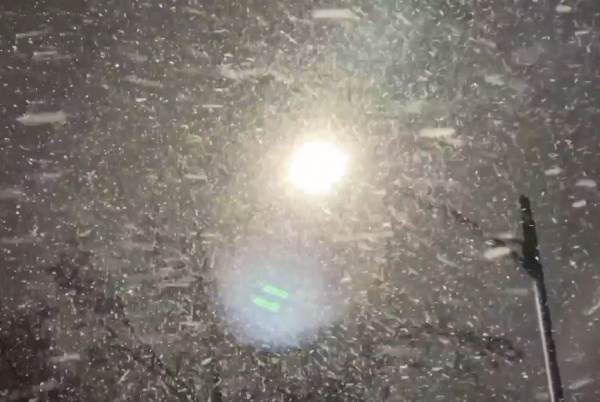 Снег и ледяной дождь обрушатся на Рязанскую область 