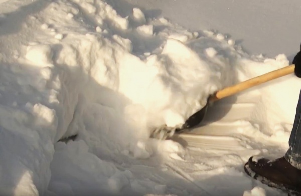 В Рязанском округе после вмешательства прокуратуры расчистили дорогу к кладбищу