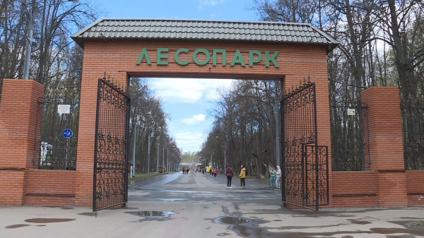 В Рязани временно закроют парковку у Лесопарка