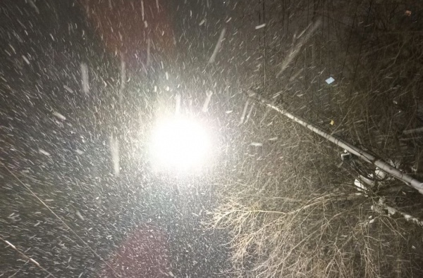 Ночью в Рязанской области продолжится снегопад