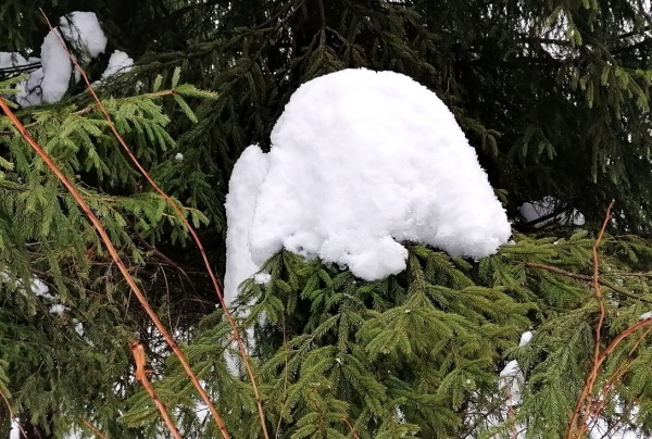 -3°С и небольшой снег: в регионе установится комфортная зимняя погода