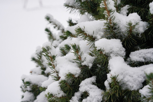 В Рязанской области ожидается облачная погода без осадков