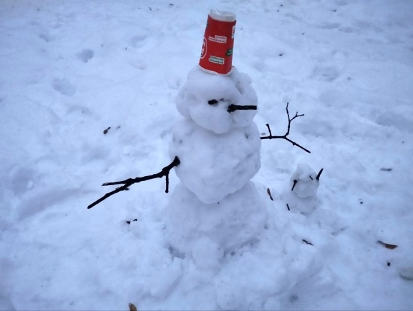 Мокрый снег и ветер до 15 м/с ожидаются в Рязанской области в последний день зимы