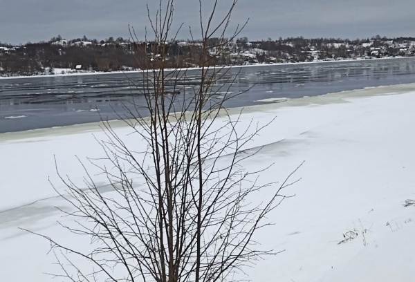 До +4°С ожидается завтра в Рязанской области
