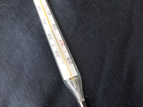 Заболеваемость ОРВИ пошла на убыль