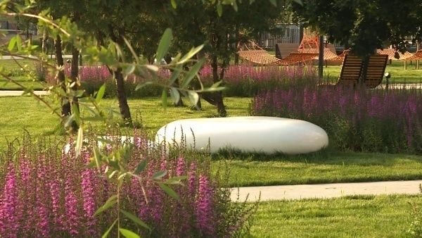 Рязанцы могут предложить территории для будущего благоустройства