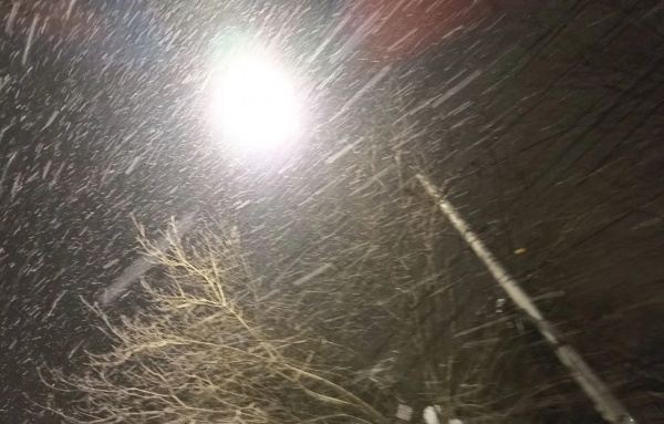 В регионе ожидаются плюсовая температура и мокрый снег