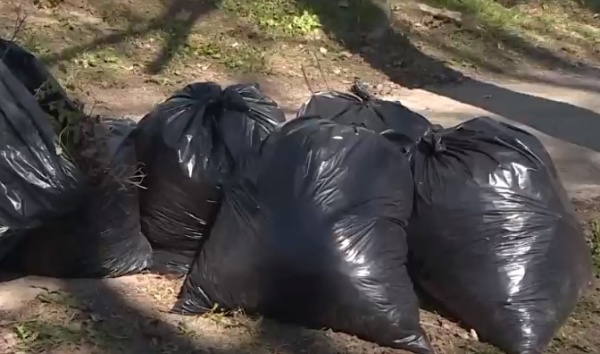 Музей-заповедник в Константинове приглашает на субботник