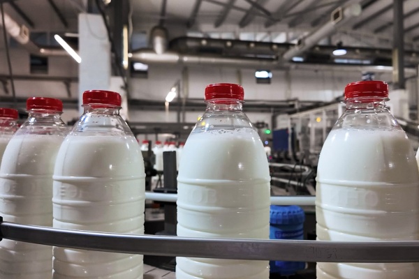Новый молочный завод построят в регионе 