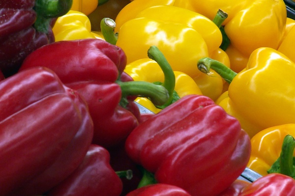 Александр Шаститко рассказал о ценообразовании на продукты питания 