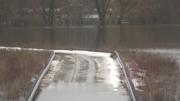 В субботу в регионе будет +10°С, осадков не ожидается
