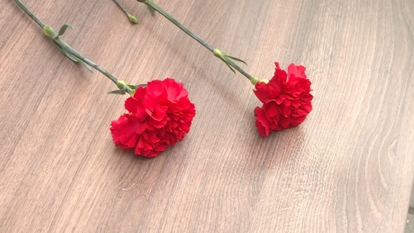 В касимовской школе открыли Парту Героя