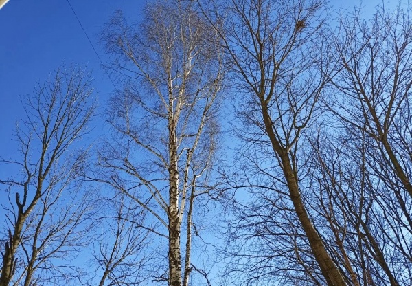 На следующей неделе в регионе может потеплеть до +20