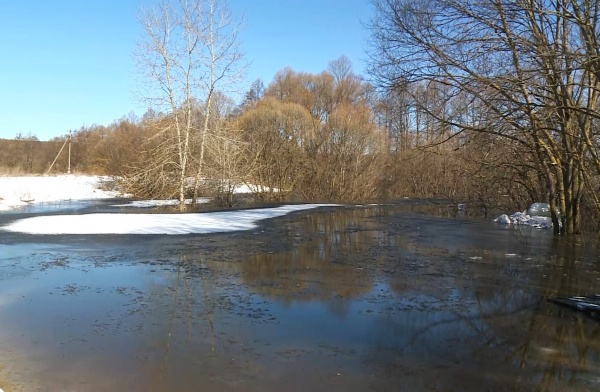 До -8°С ночью и до +10°С днем ожидается завтра в Рязанской области