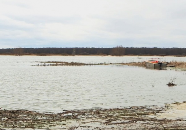 Ока в Рязани поднялась на 26 сантиметров за сутки