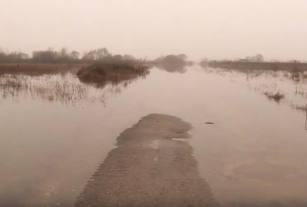 МЧС предупредило о скором переливе дороги Шумашь — Заокское