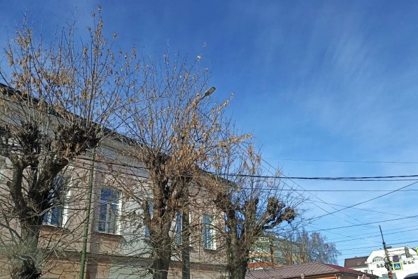 Завтра в Рязанской области ожидается до +15°С