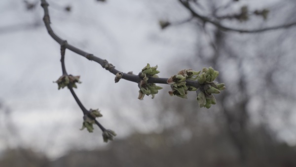 В четверг в регионе пройдут дожди