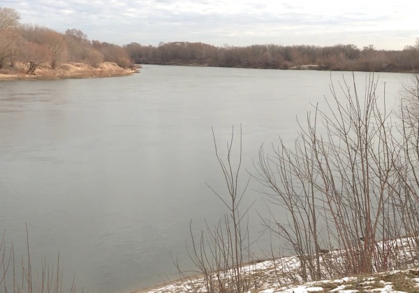 Уровень воды в Оке в черте Рязани достиг четырех метров