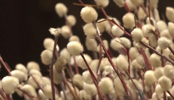 Православные верующие отмечают Вербное воскресенье