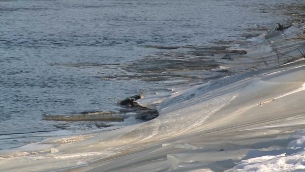 За сутки в регионе подтопило ещё 3 моста и 1 участок дороги