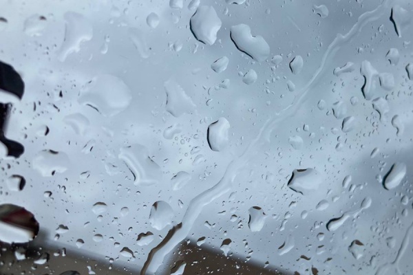 В регионе ожидается до +16°С и дождь 