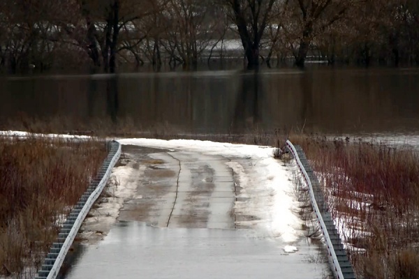 В регионе за сутки подтопило десятки приусадебных участков