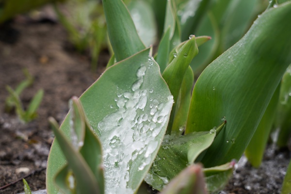 В субботу в Рязанской области пройдет небольшой дождь