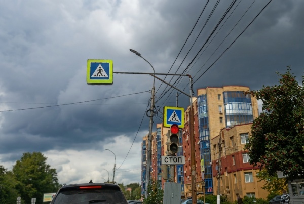 Синоптики предупредили рязанцев о грозах и дожде 