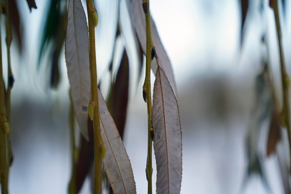 В воскресенье в регионе ожидаются дожди и туман