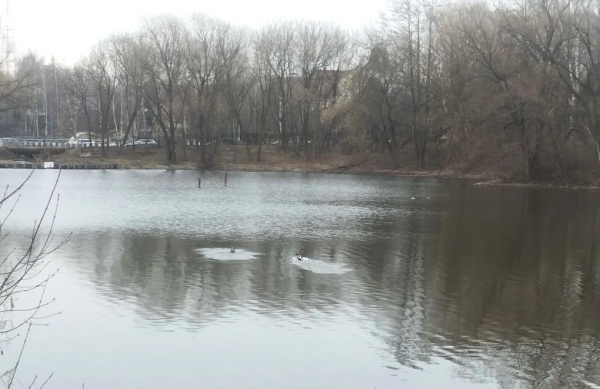 Завтра днем в регионе ожидается небольшой дождь