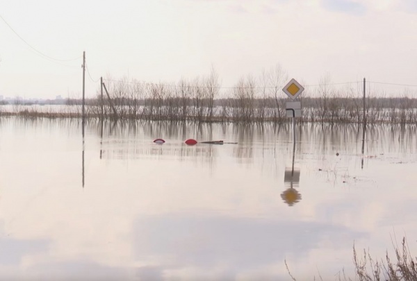 Плавающий транспортер за 4 дня перевез более 500 человек