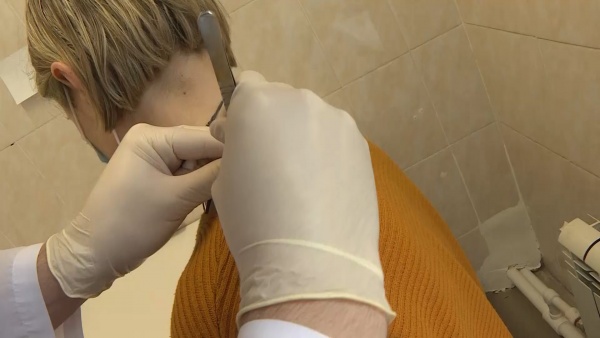 Трех рязанцев за неделю покусали клещи