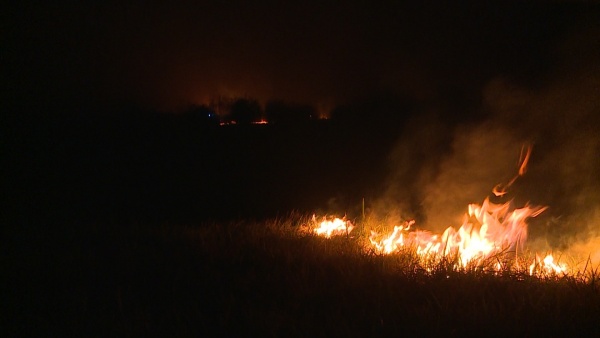 В Рязанской области начались палы травы
