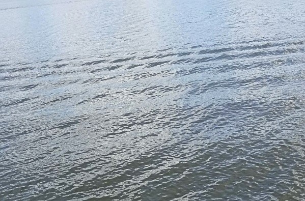 В Спас-Клепиках вода добралась до городского стадиона