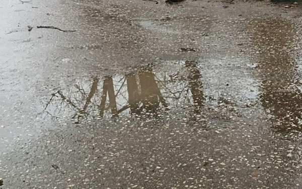 Завтра в регионе снова будет дождливо