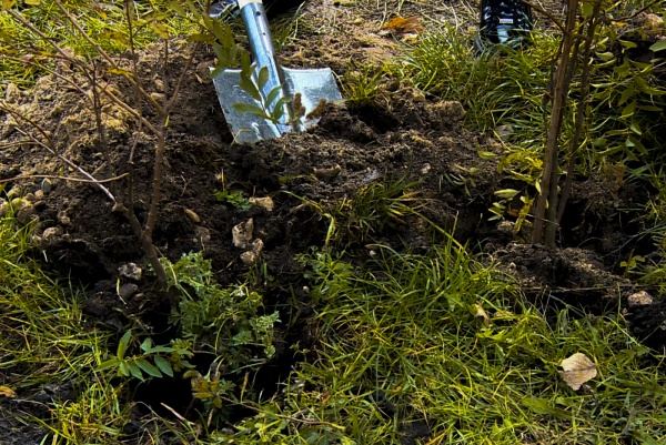 Второй общегородской субботник пройдет в Рязани 18 апреля 