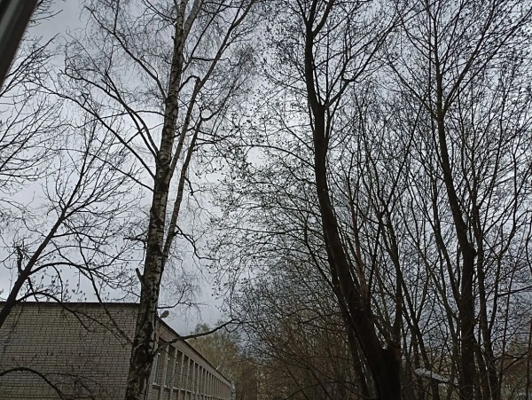 Рязанцев предупредили о резком похолодании