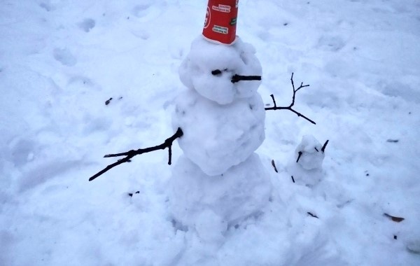 В Рязань возвращается зима: в регионе снова сформируется снежный покров