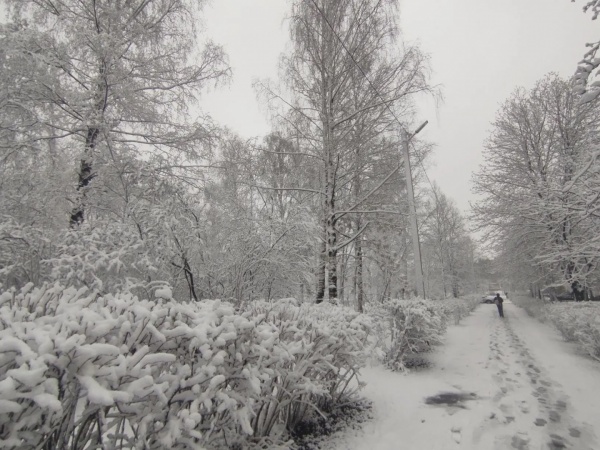 Дождь и мокрый снег ожидаются завтра в Рязанской области