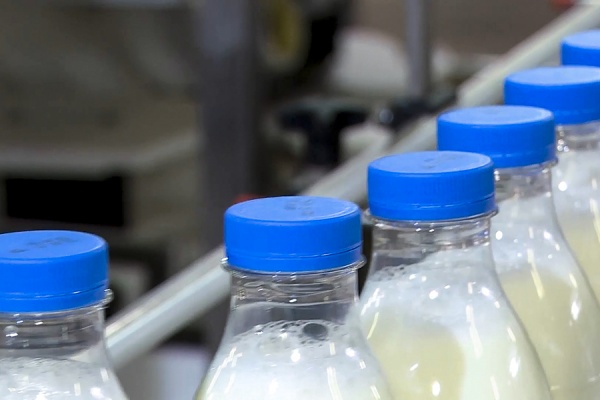 Производство молока в Рязанской области выросло на 5% с начала года