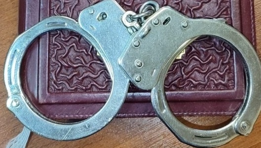 Рязанские полицейские задержали подозреваемого в убийстве семьи в Кадоме